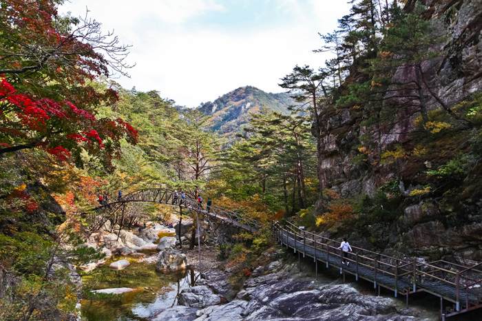Destinasi Wisata Untuk Menikmati Musim Gugur di Korea Selatan