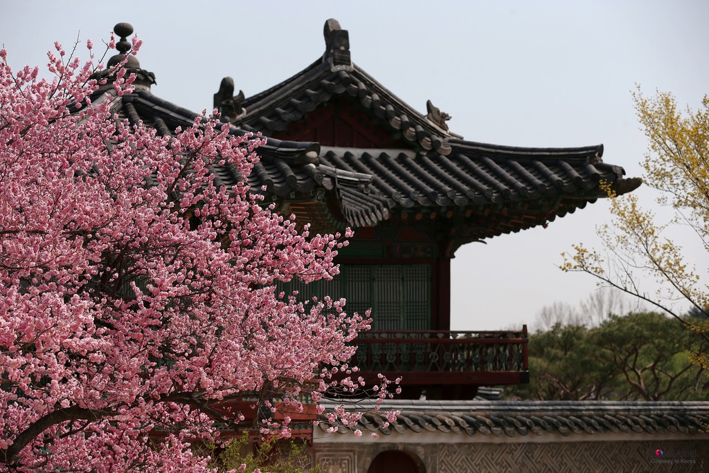 Tempat Yang Sangat Indah Untuk Dikunjungi Di Korea Selatan